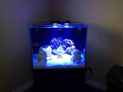 ImageUploadedByTapatalk1381897074.584574.jpg ImageUploadedByTapatalk1381897074.584574.jpg