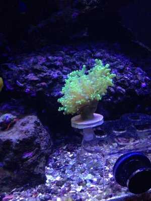 1380329_10101468403519578_1991008427_n.jpg
