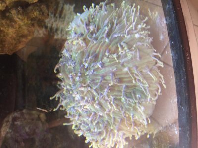 IMG_1398[1].jpg