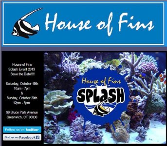 House Of Fins Event.JPG