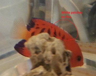 20131016_091253 Compressed.jpg