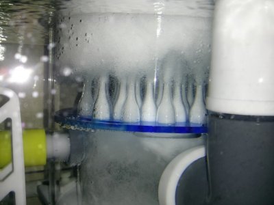 IMG_20130923_213727.jpg