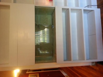 20130824_181722.jpg