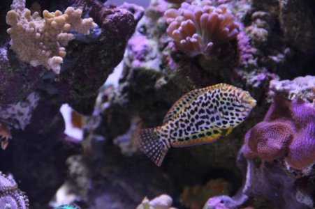 IMG_4563.jpg