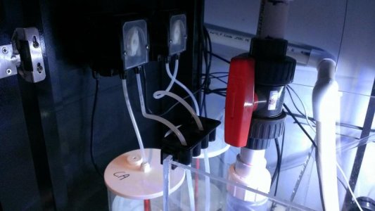 2013-09-28 18.03.12.jpg