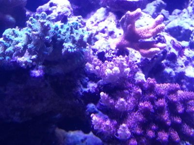 20131017_232342.jpg