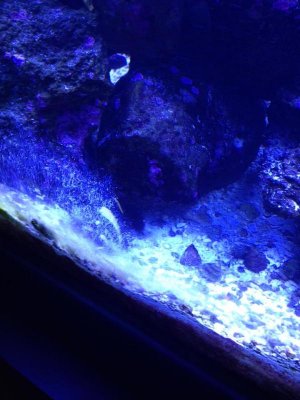 1380023_10101488177118128_520890371_n.jpg