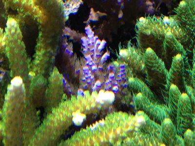 IMG_0141s.jpg