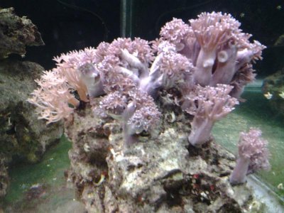 20131018_125335.jpg