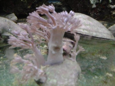20131018_125416.jpg