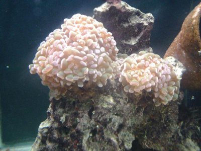 20131018_125435.jpg