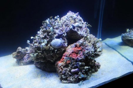 DSC_4058_0019_edited-1.jpg