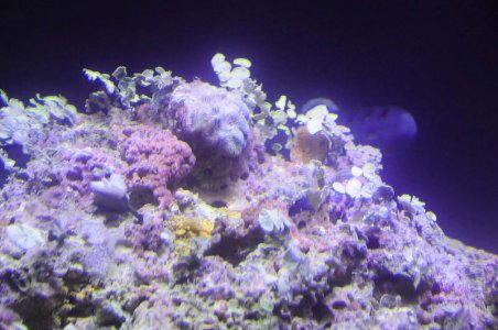 DSC_4060_0021_edited-1.jpg