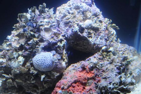 DSC_4061_0022_edited-1.jpg