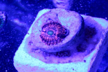IMG_7204_??.jpg