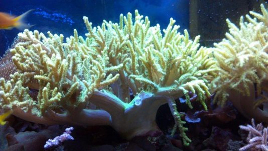 gary 003.jpg gary 003.jpg