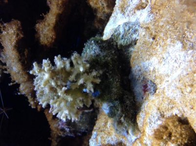 photo 4.jpg