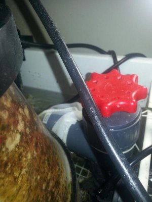 20130930_161406_resized.jpg