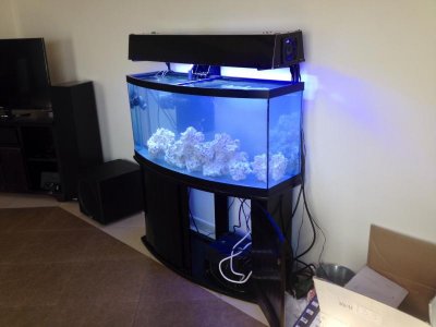 photo (2).jpg