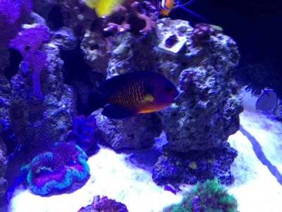 ImageUploadedByTapatalk1380587724.870870.jpg ImageUploadedByTapatalk1380587724.870870.jpg