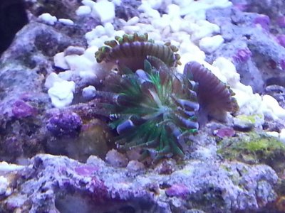 20130930_191756.jpg