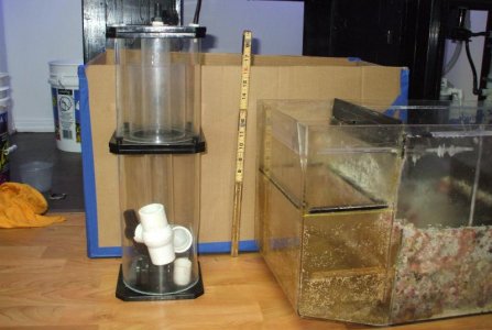 Too high, I think.jpg