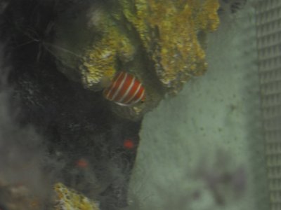 rsz_dsc_0253 (1).jpg