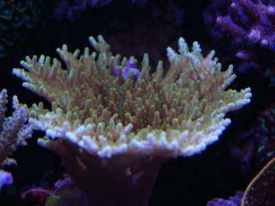 IMGP3867.JPG