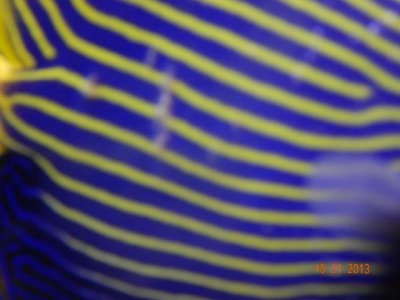 DSCN0254 (640x480).jpg