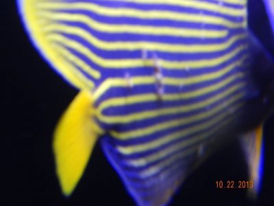 DSCN0267 (640x480).jpg