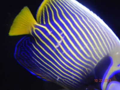 DSCN0266 (640x480) - Copy.jpg