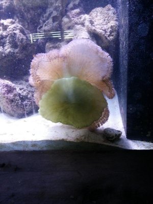 2013-10-23 13.12.54.jpg