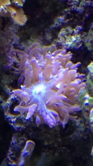 photo.jpg