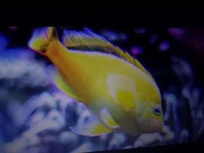 20131027_232508.jpg