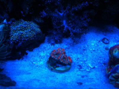 IMG_0551.jpg