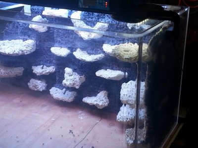 dry fit (7).jpg