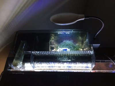 image(1).jpg