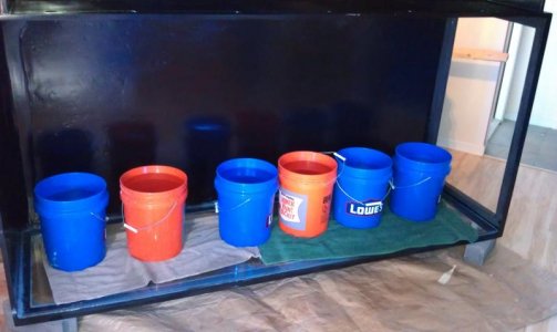 IMAG0428.jpg