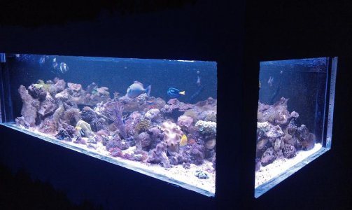 IMAG0837.jpg