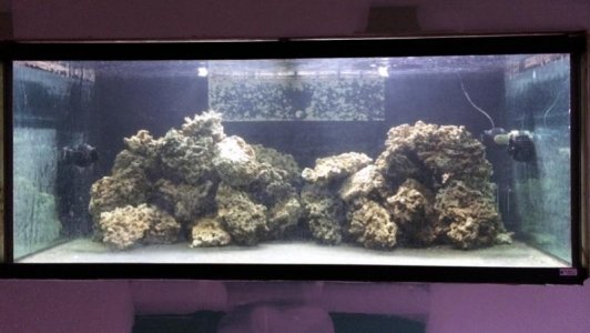 340REEF2013110401.jpg