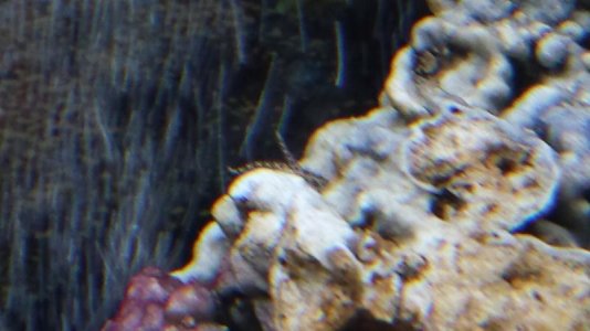20131106_141133.jpg