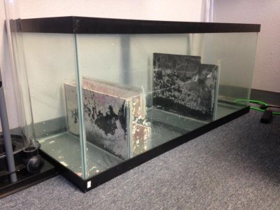 Sump6.jpg