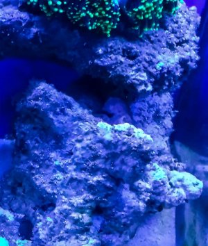 NanoTank201311.jpg