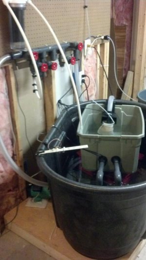IMG_20131103_191105_354.jpg