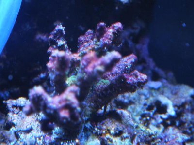 DSCF8945 (Medium).jpg