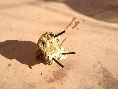 IMG_0470.jpg IMG_0470.jpg