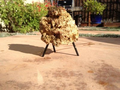 IMG_0471.jpg IMG_0471.jpg