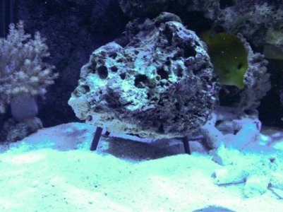 IMG_0476D.jpg IMG_0476D.jpg