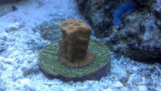 2013-11-30_23-27-09_687.jpg