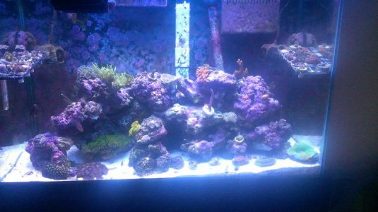 IMAG0369_BURST002_COVER[1].jpg